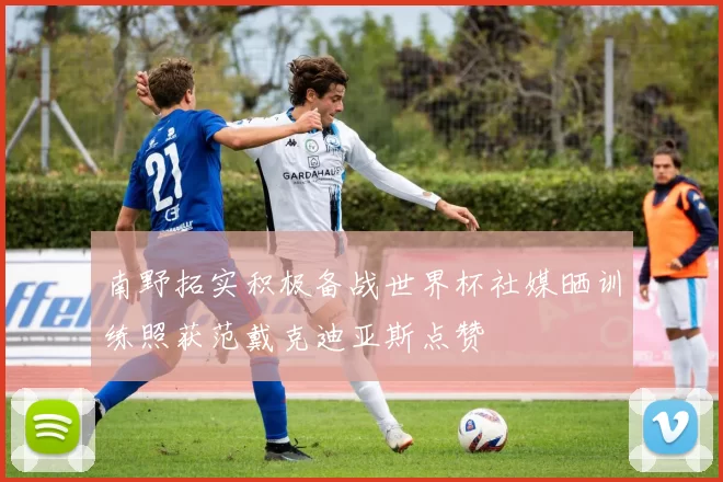 南野拓实积极备战世界杯社媒晒训练照获范戴克迪亚斯点赞